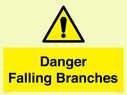 danger-falling-branches~
